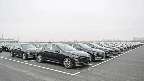 紅旗智造，領(lǐng)航未來 中國一汽繁榮工廠搶占新能源汽車行業(yè)制高點(diǎn)