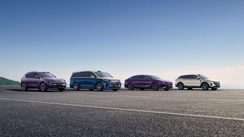 嵐圖汽車謀變 產品與技術雙輪驅動，沖刺港股奔赴新戰場